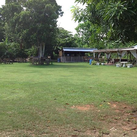 Chillax On Our Farm Pensionat Ocho Rios Eksteriør billede