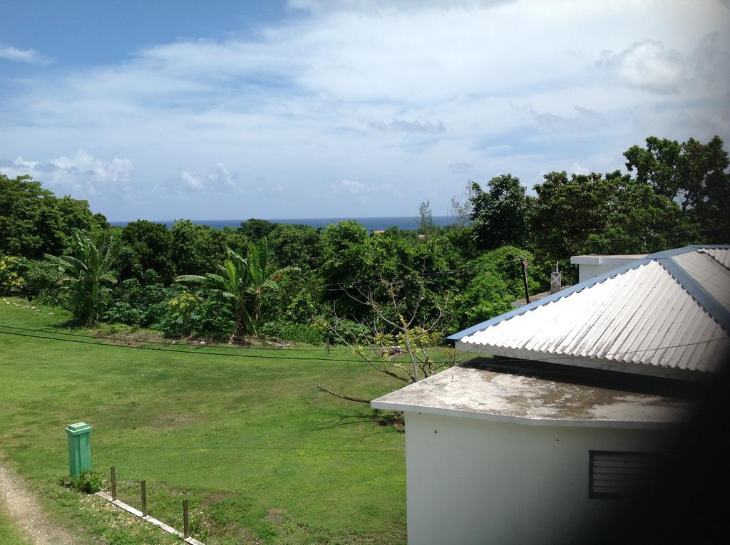 Chillax On Our Farm Pensionat Ocho Rios Eksteriør billede