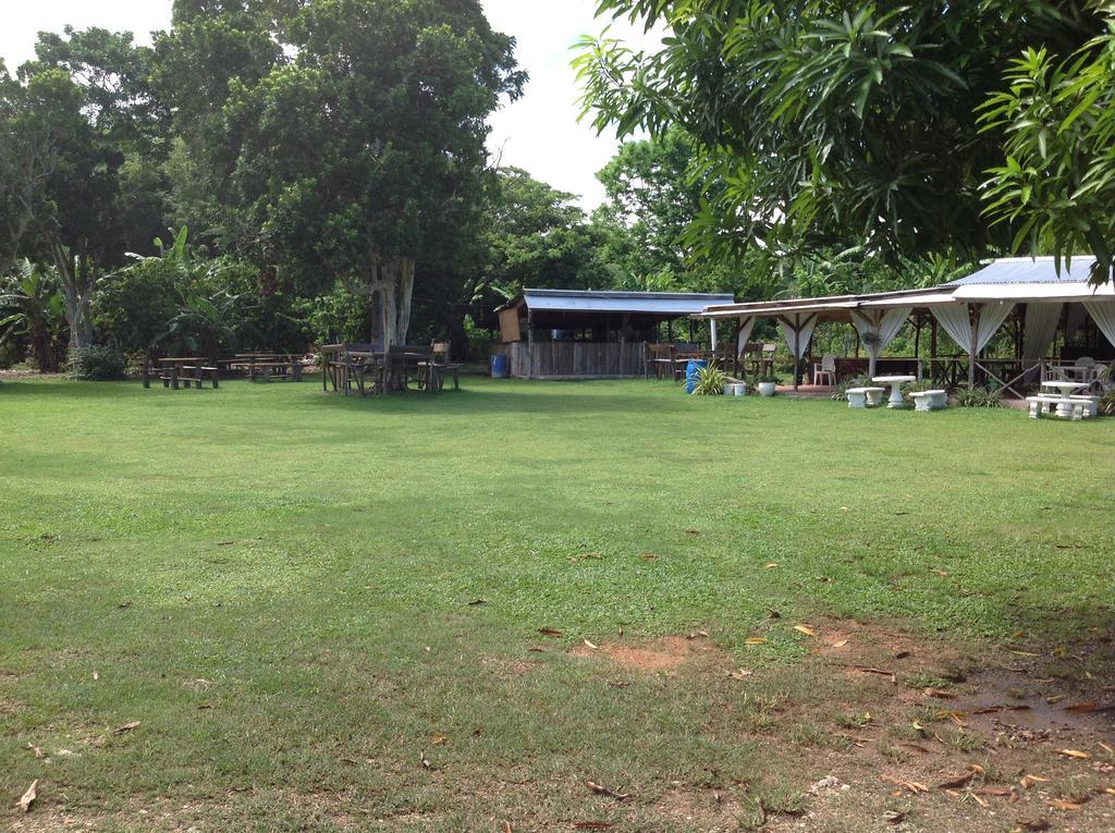 Chillax On Our Farm Pensionat Ocho Rios Eksteriør billede